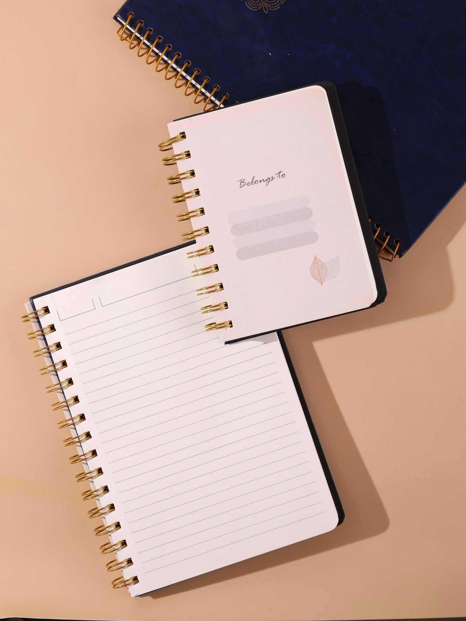 Leatherette Cover Executive Notebook Diary | Golden Wire O | 160 Ruled Pages | A5 & B5 Sizes | Pack of 1