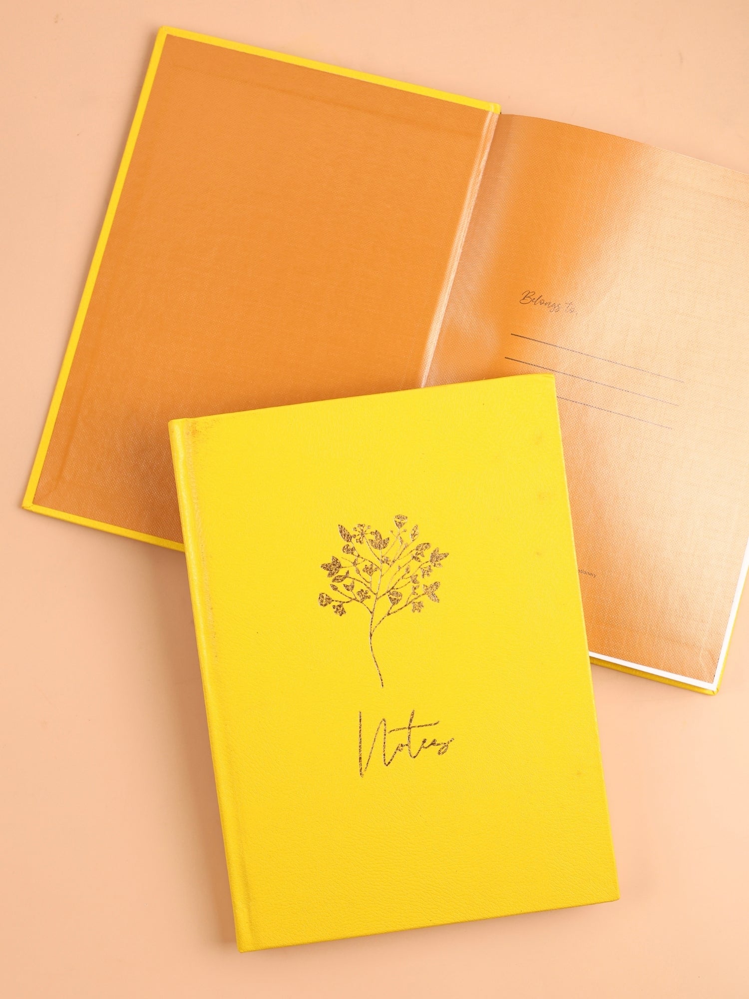 PVC Cased Notebook Journal | A5 | 192 Pages | Ruled & Plain | 90 GSM Paper | Hard Cover