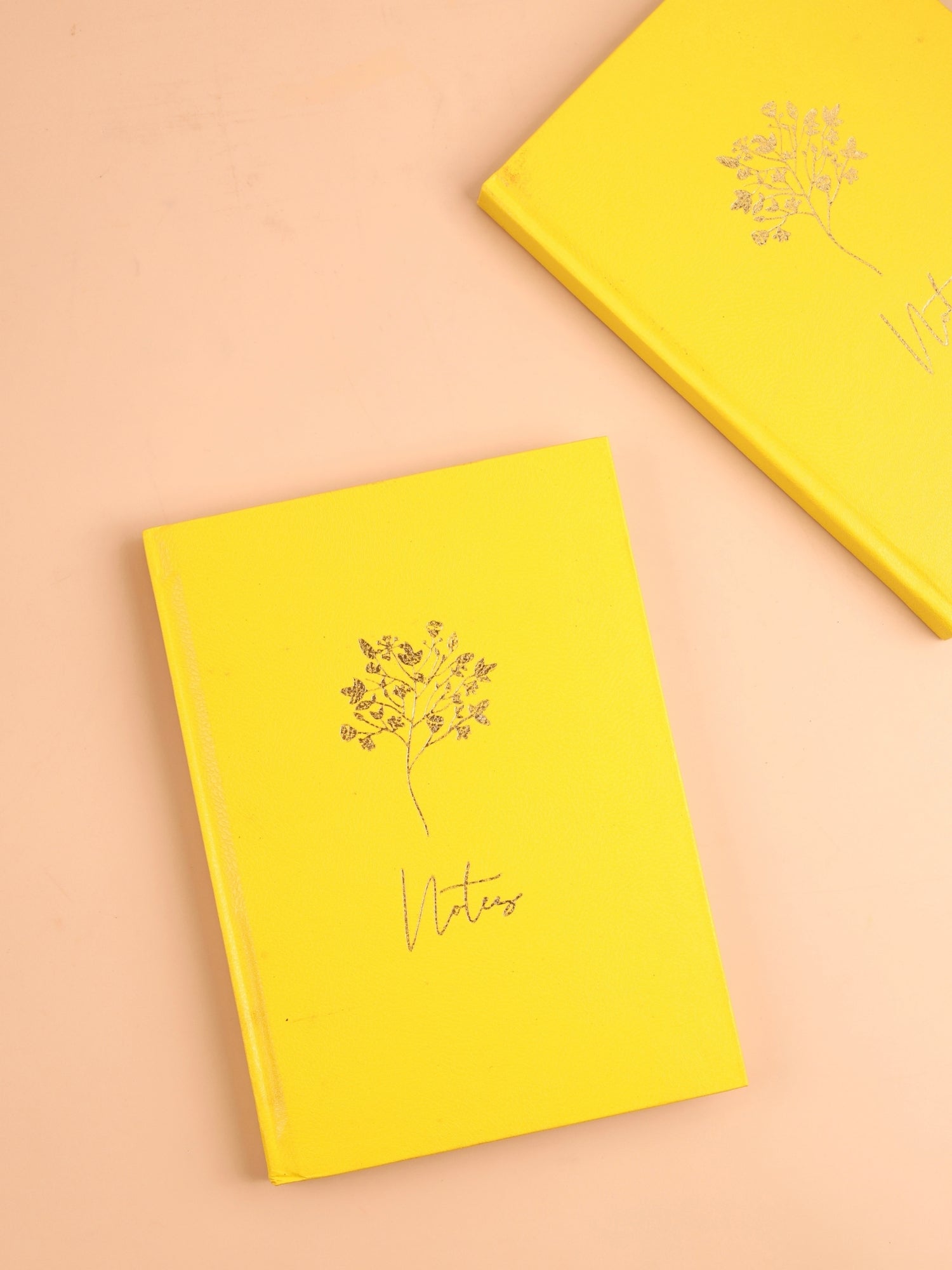 PVC Cased Notebook Journal | A5 | 192 Pages | Ruled & Plain | 90 GSM Paper | Hard Cover