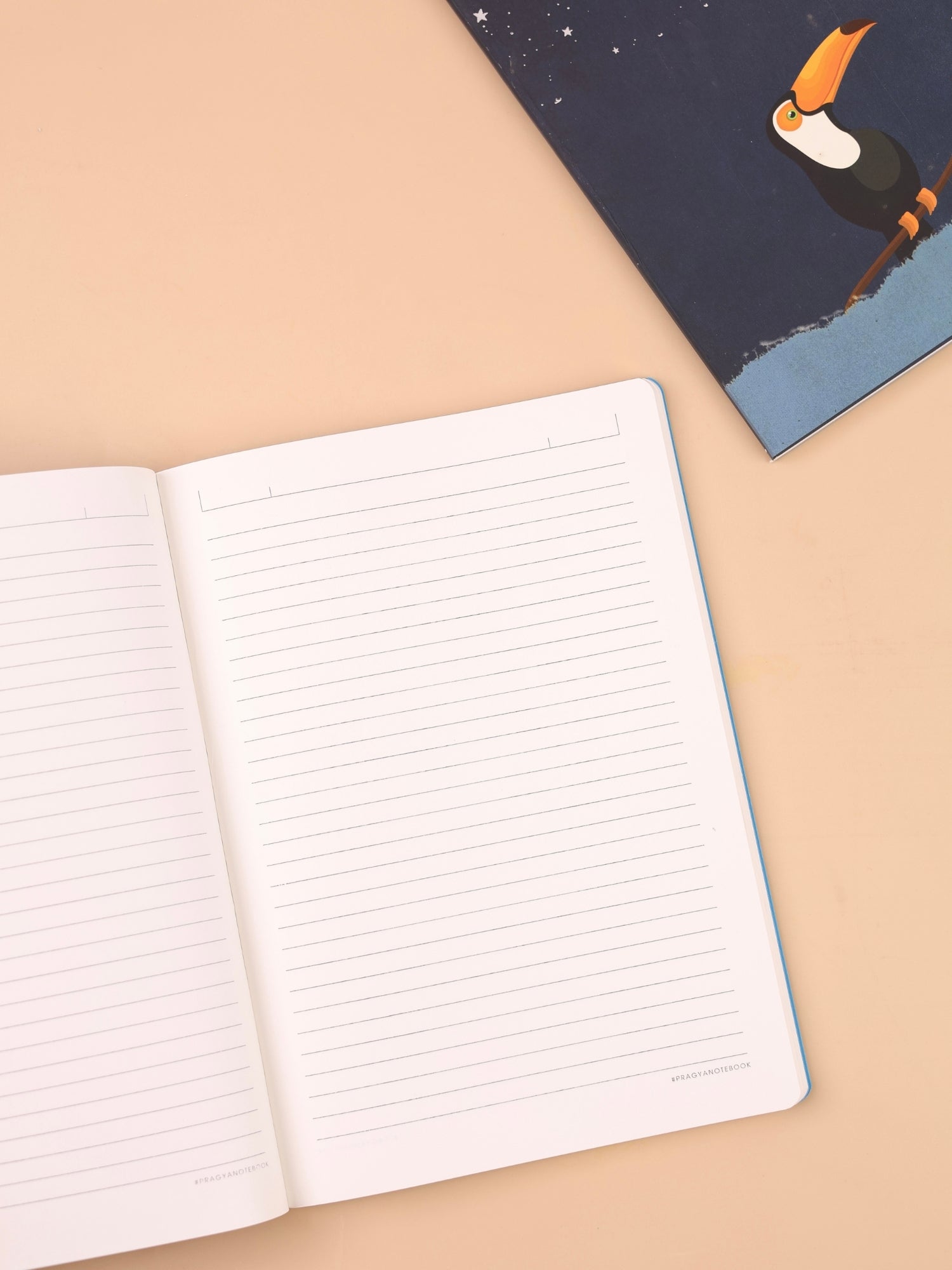 Velvet Finish Journal Notebook | Premium Cover | Pack of 2