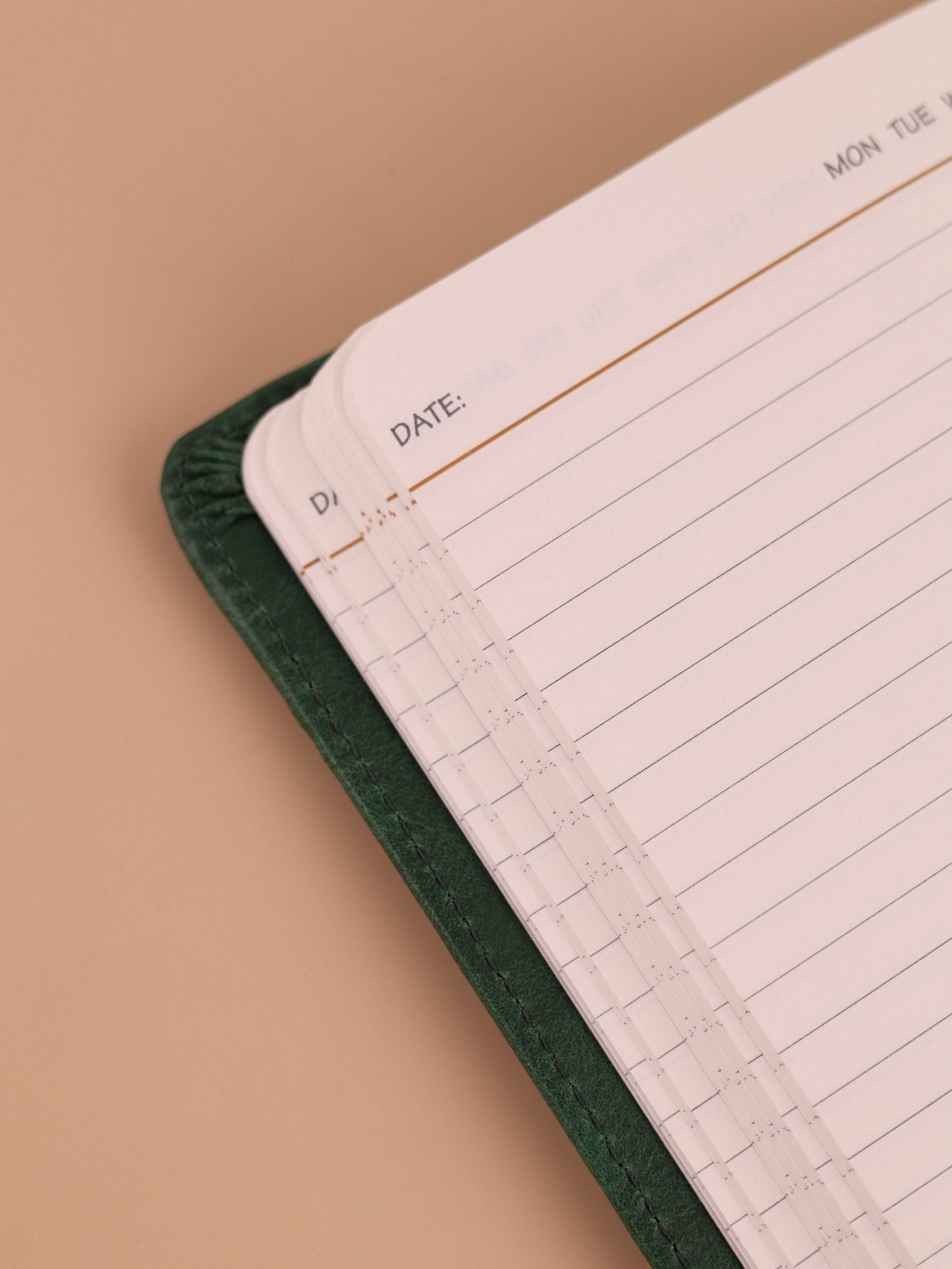 Green Tucker Notebook & Pen Combo Kit