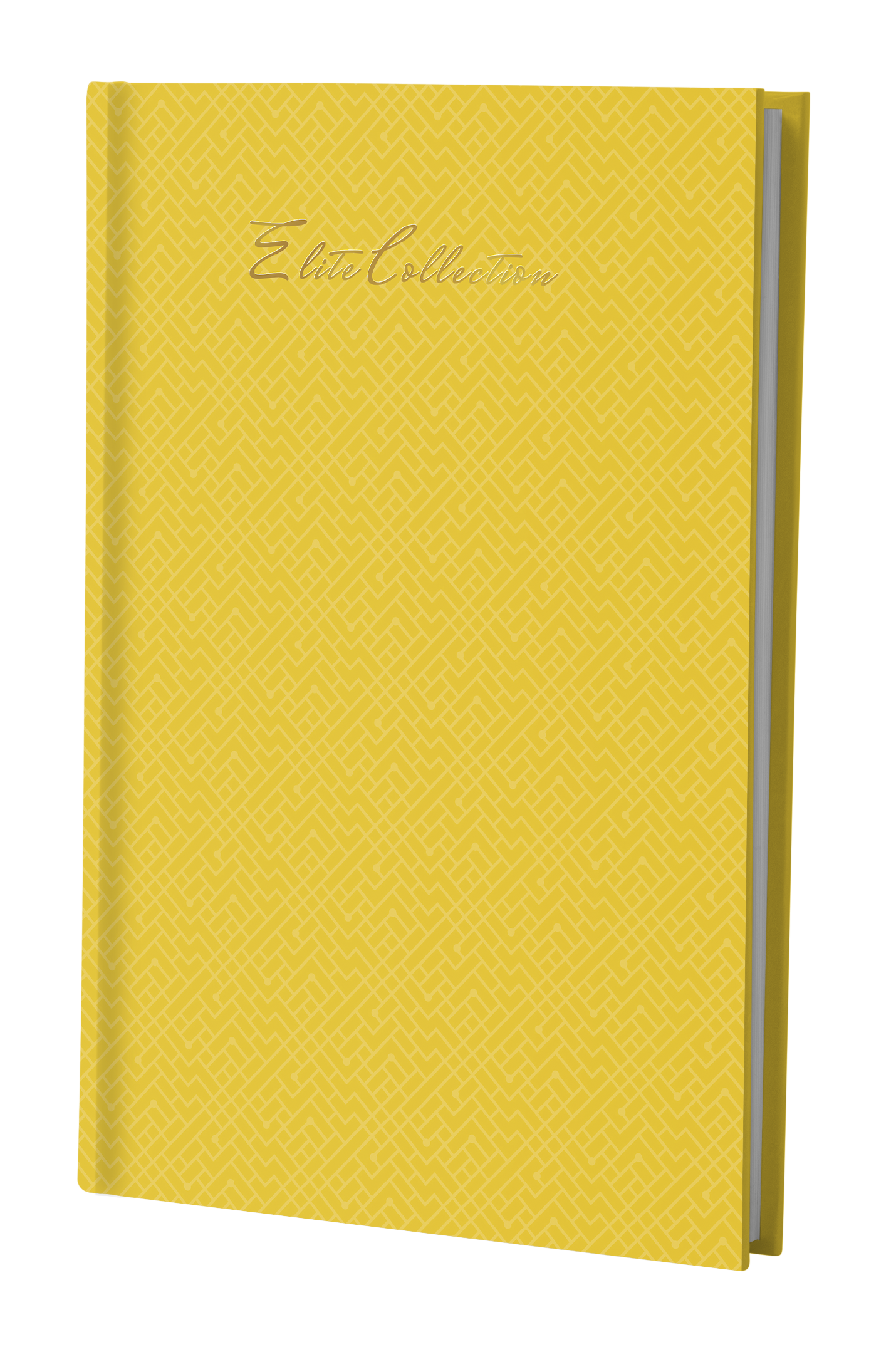 Pragya A4 Notebook Register (29.7 x 21 cm) | 200 Pages | Elite Collection Thread Sewn Hard Case Cover | Premium Notebook for Notes, Records & Documentation