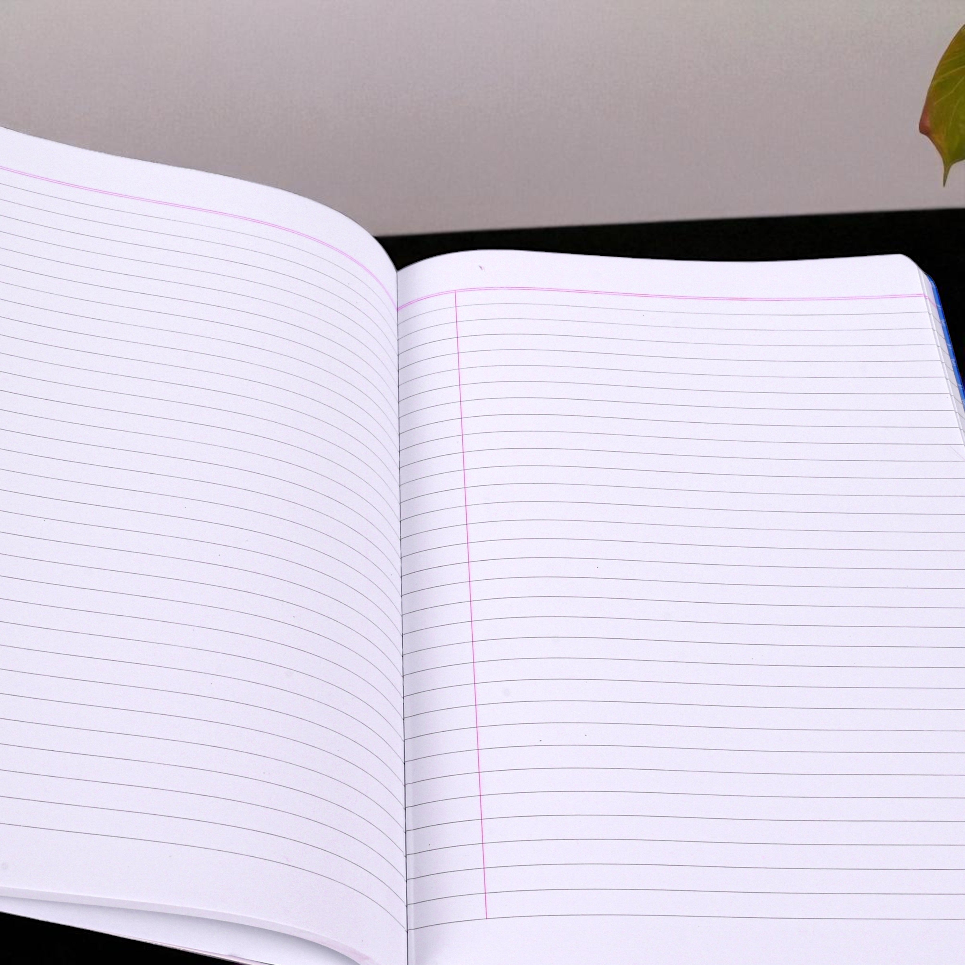 Pragya A4 Register Notebook Soft Cover | 296 Pages | Single Line Ruled | Student Office Professional Writing Book Pack of 2