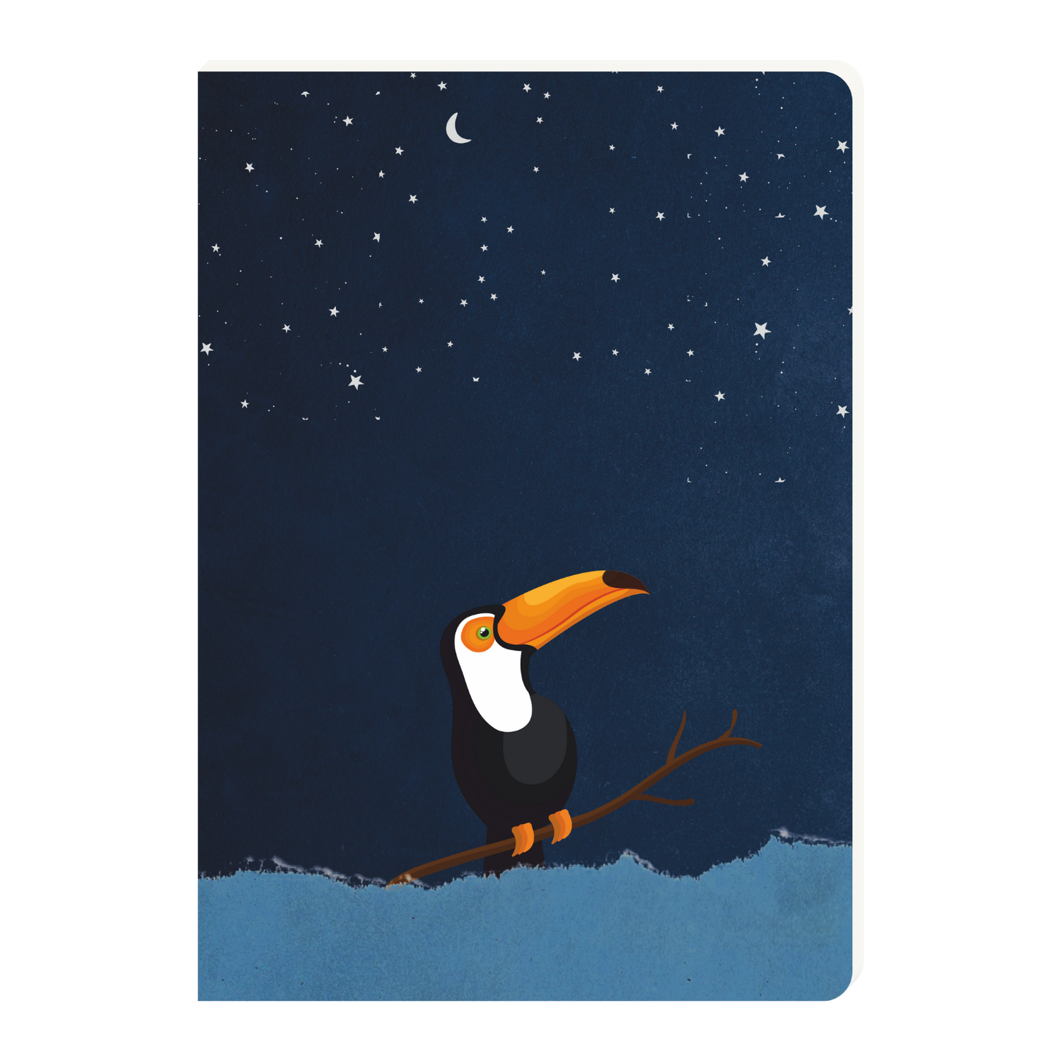 Velvet Finish Journal Notebook | Premium Cover | Pack of 2