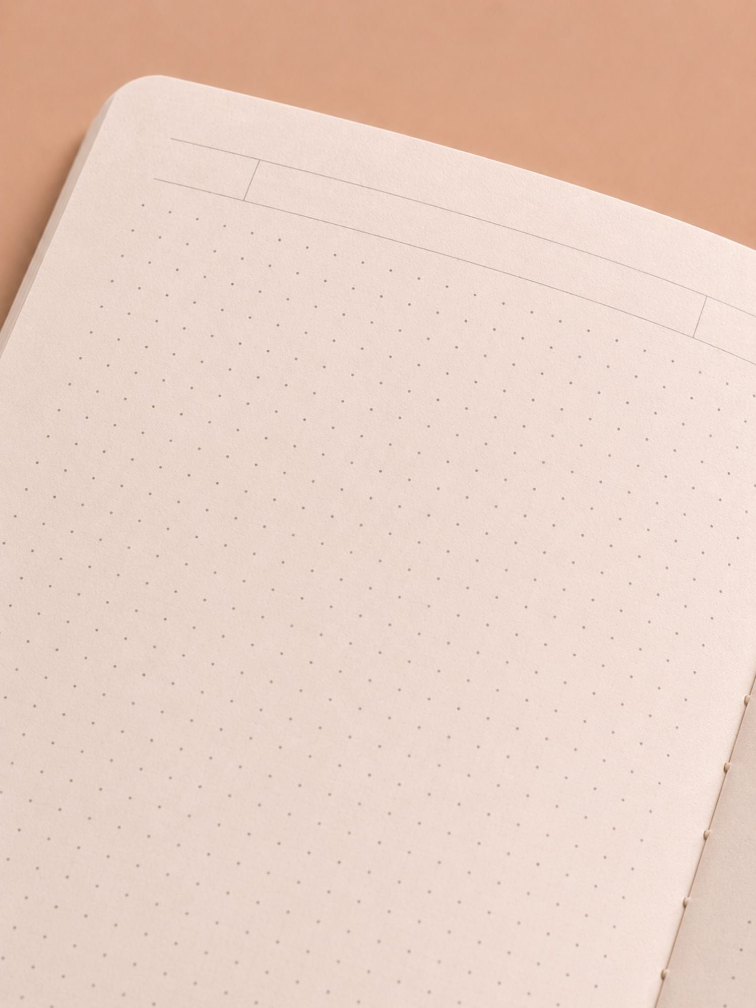 Gridline Notebook | 5 mm Grid Pages