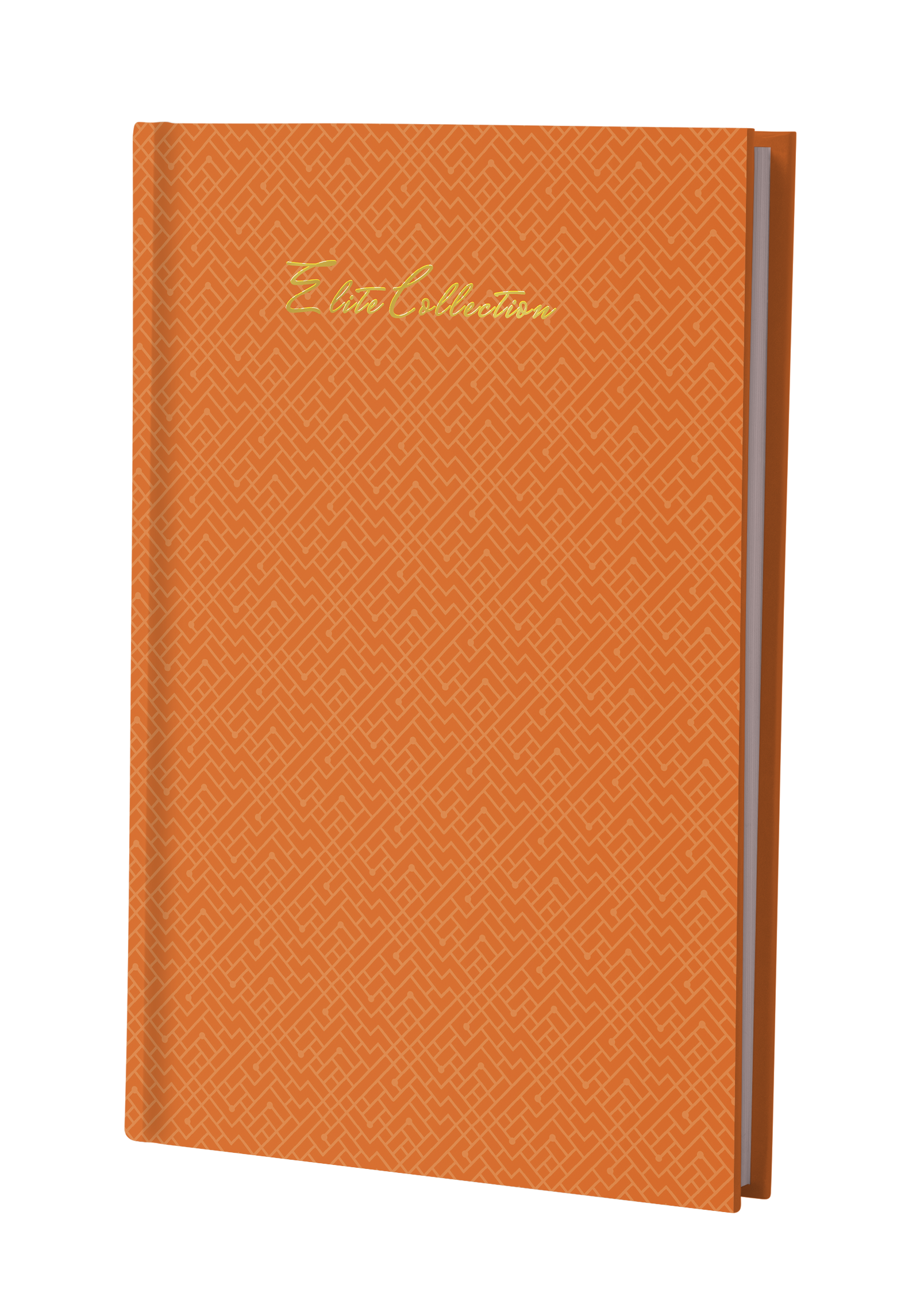 Pragya A4 Notebook Register (29.7 x 21 cm) | 200 Pages | Elite Collection Thread Sewn Hard Case Cover | Premium Notebook for Notes, Records & Documentation