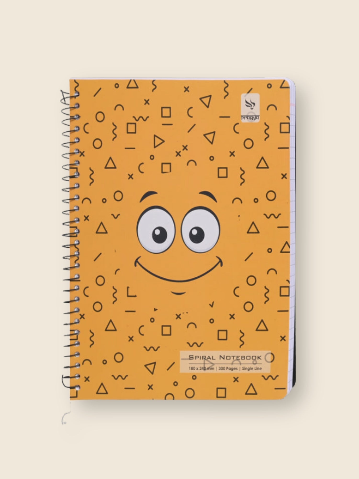 Spiral Notebook | 160 & 300 Pages | B5 | Soft Cover | Metal Wire Bound  | Pack of 4