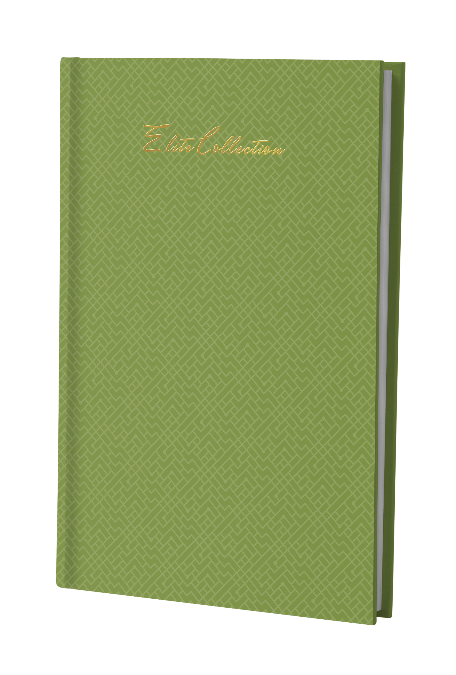 Pragya A4 Notebook Register (29.7 x 21 cm) | 360 Single Ruled Pages | Elite Collection Thread Sewn Hard Case Cover | Premium Notebook for Notes, Records & Documentation
