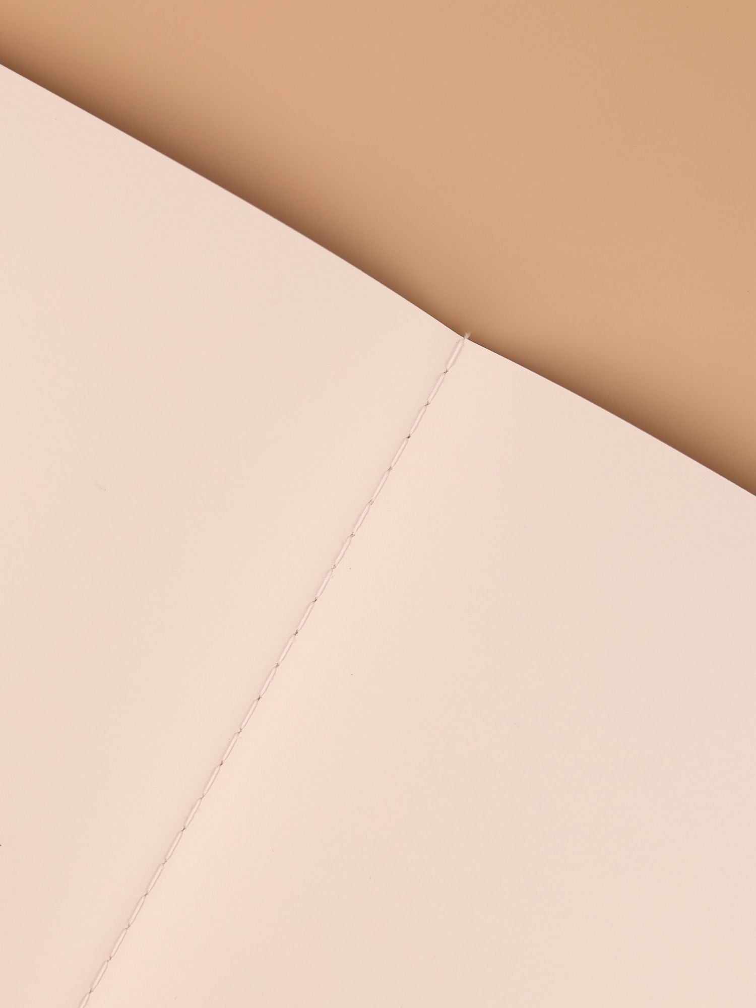 Orange Poppy Notebook | A5 | Plain | 120 Pages | 80 GSM Paper